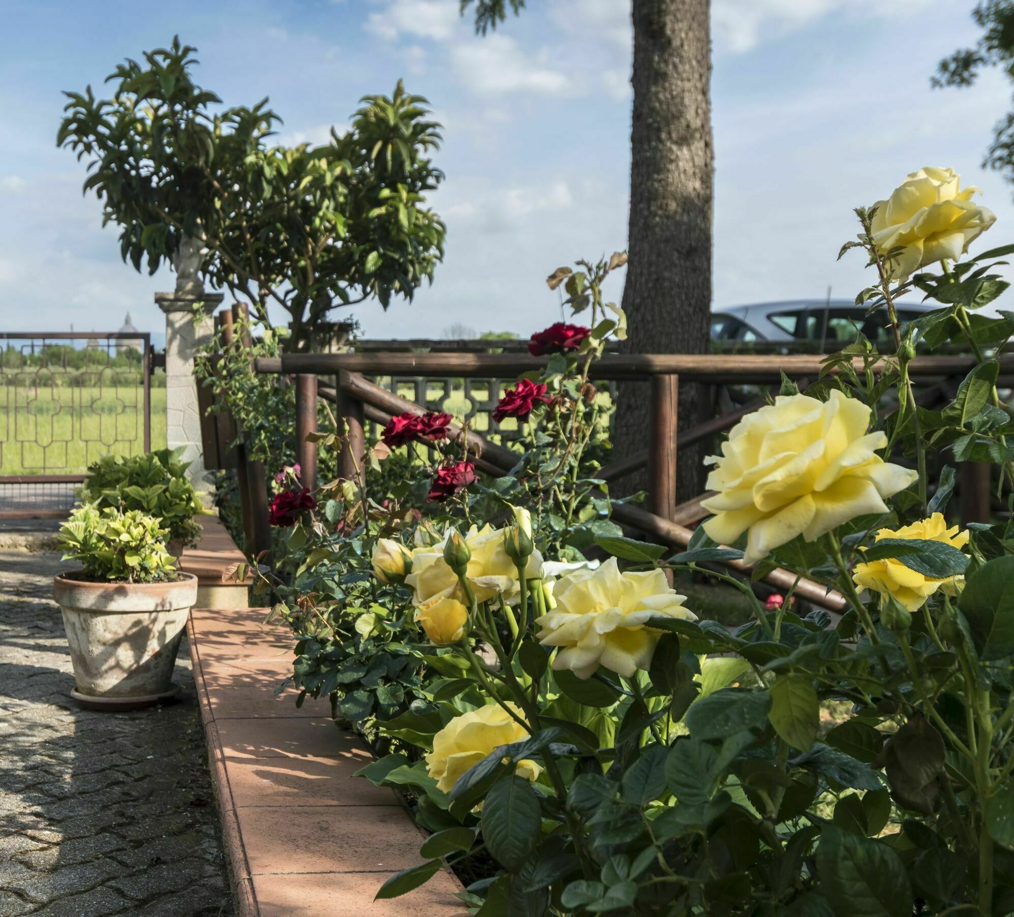 Camere Mariella อัสซิซี ภายนอก รูปภาพ